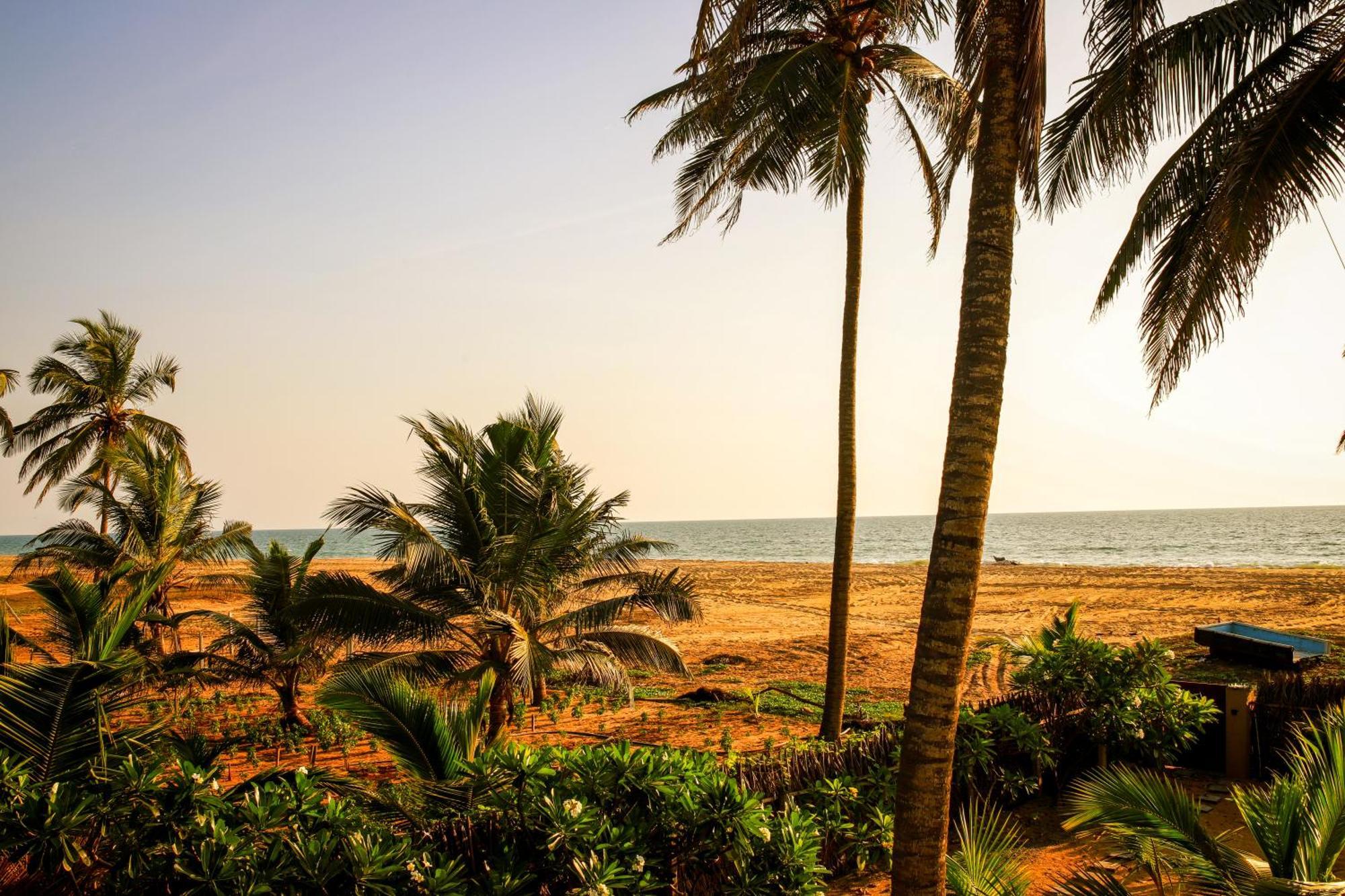 Kottanitivu Nayan'S Paradise מראה חיצוני תמונה