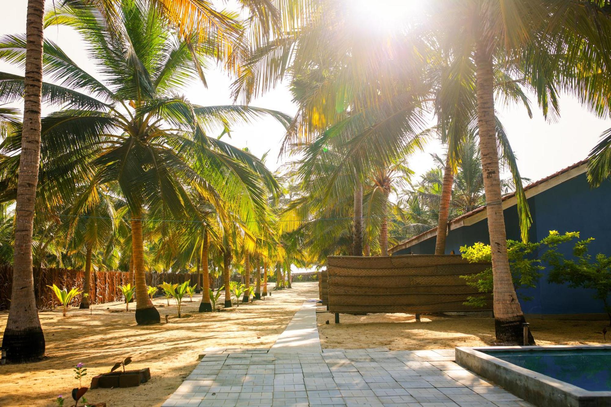 Kottanitivu Nayan'S Paradise מראה חיצוני תמונה