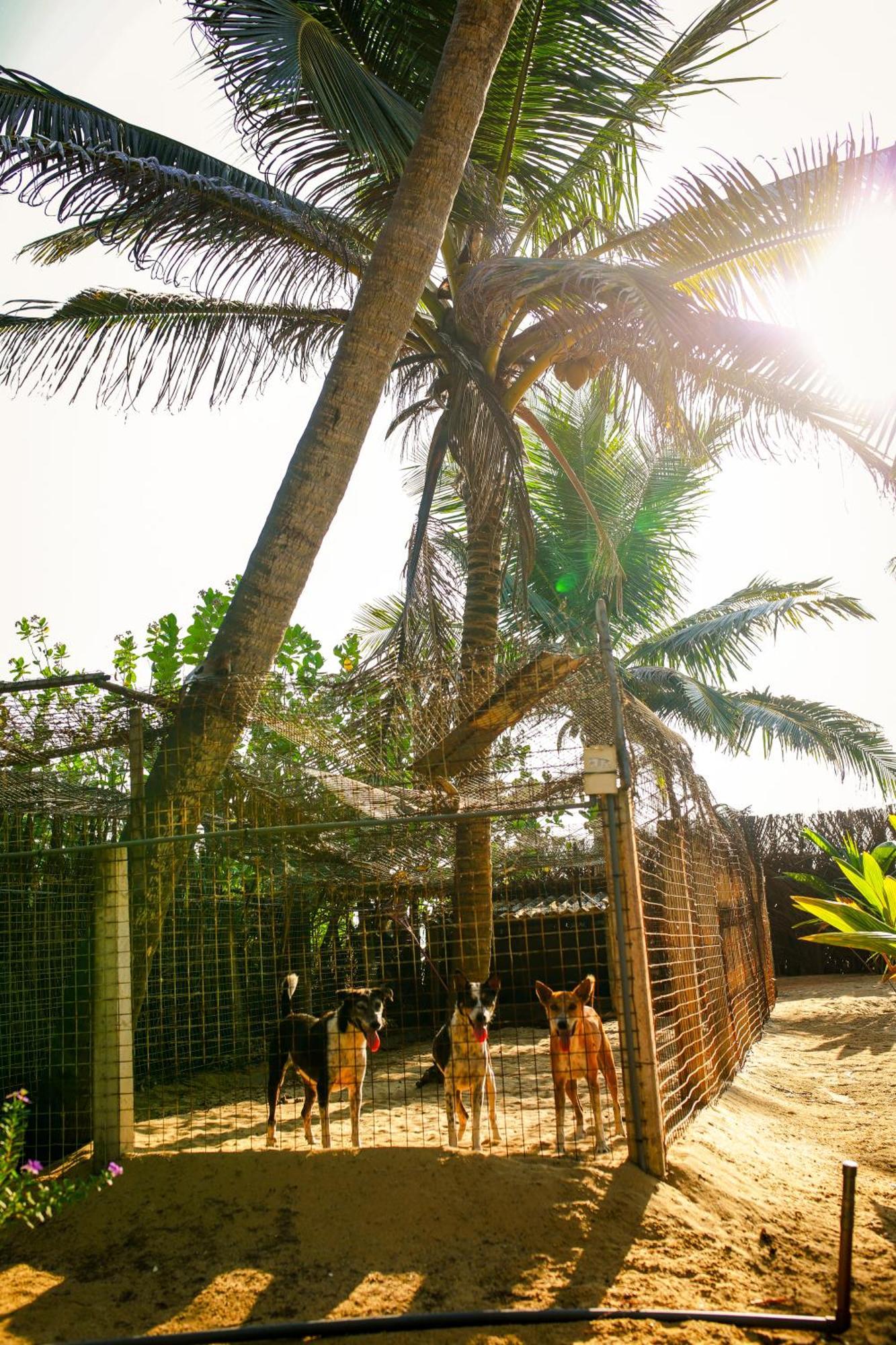 Kottanitivu Nayan'S Paradise מראה חיצוני תמונה